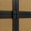 Armoire de rangement en maille de rotin à 4 portes avec huit tablettes spacieuses, parfaite pour le vestibule, le salon et le vestibule