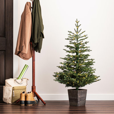 4' Lighted Pine Christmas Tree