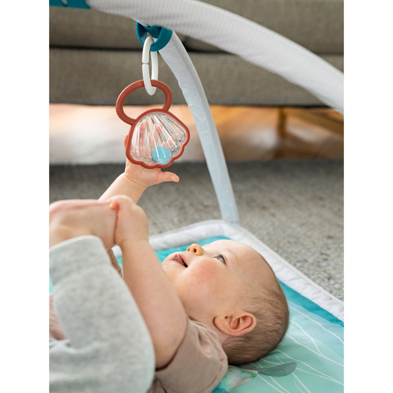 The Ocean Baby Gym