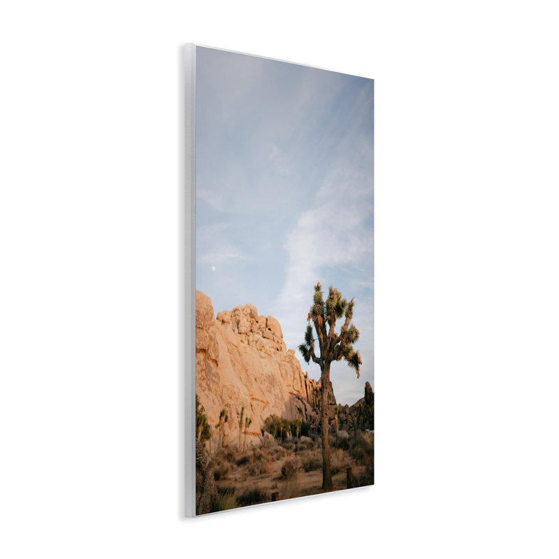 Plaque murale Joshua Tree & Canyon, design par Jade Sharp Photo, H 19 po x l 13 po