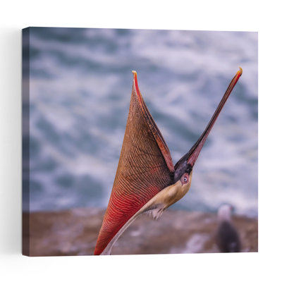 Brown Pelican Open Wide Bird Pelican Coastal Wall Art Print 1 Piece Wrapped Canvas Wall Art