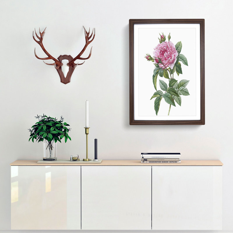 A French Rose In Pink by Pierre-Joseph Redoute - Single Picture Frame Painting, Walnut Framed, 33cm H x 24cm W x 2cm D