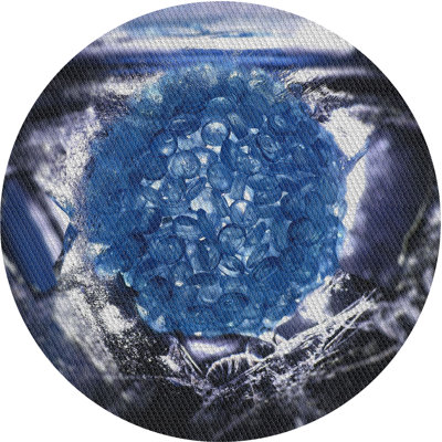 Indoor Rug