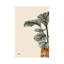 Calas I (bronze) par Bria Nicole, impression sur toile tendue-55900651