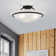 Wilbrecht Glass Semi Flush Mount