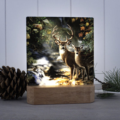 Veilleuse Deer Creek