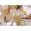 Lustre Araiyah lumière amande clair-560991740-560991736-560991684