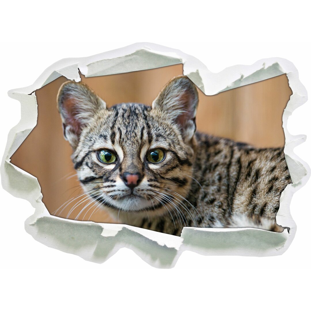 Wandtattoo Kleine Bengalkatze