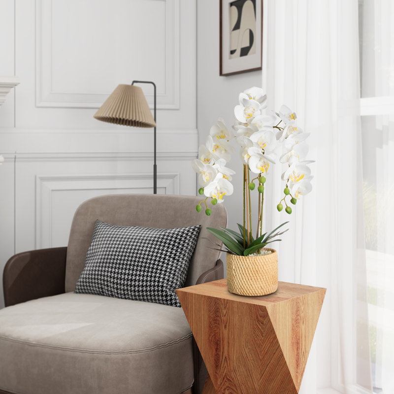 Arrangement de soie orchidée en pot