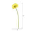 Tige de marguerite artificielle-20584018