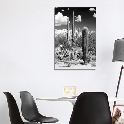 Cactus Desert - Wrapped Canvas Print