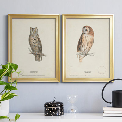 Scops - Eared Owl - Ensemble de 2 peintures sur toile encadrées