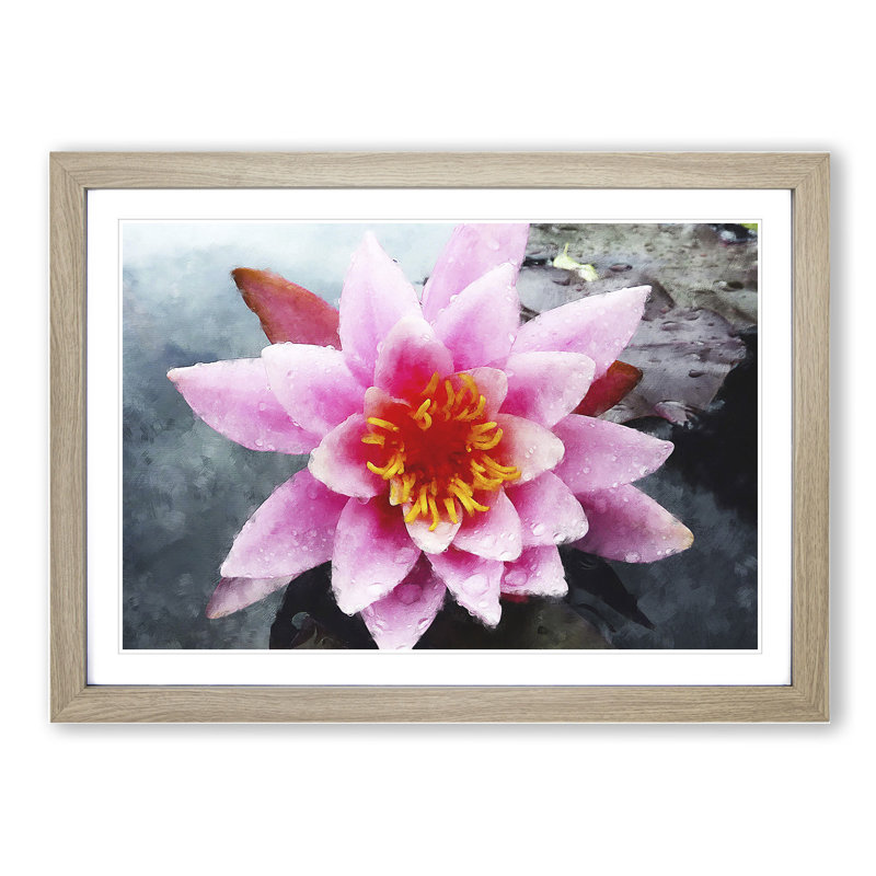 Pink Water Lily Flower Vol.4 - Picture Frame Graphic Art, Oak Framed, 36cm H x 48cm W x 2cm D