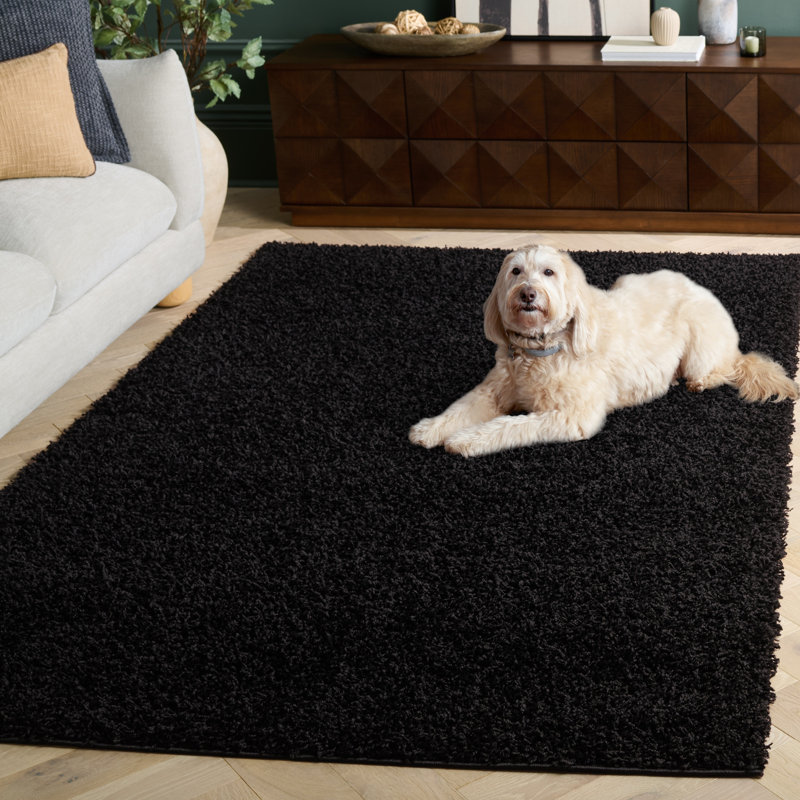 Tapis à poils longs en polypropylène noir Baldev, Rectangle 5 pi 1 po x 7 pi 6 po