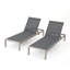 Caggiano Outdoor Metal Chaise Lounge Set