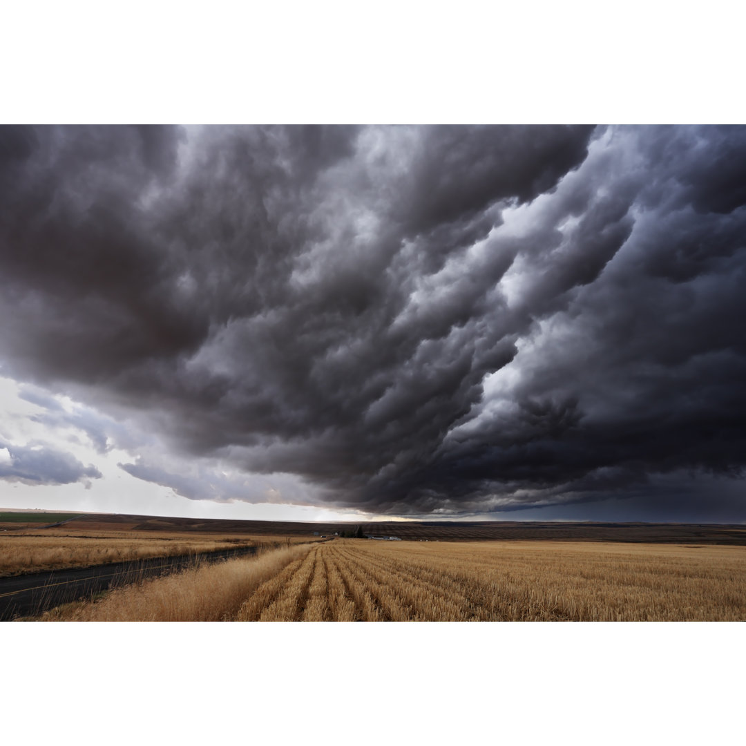 Autumn Storm by Kavram - Wrapped Canvas Print