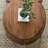 Walnut Coffee Table Elegant Design-104098332