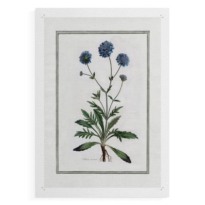 Soft Botanical II -Canvas Print Only - NOT FRAMED