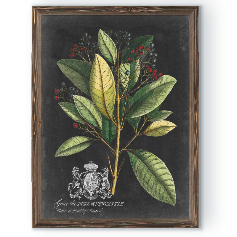 « royal feuillage iv » par paul cezanne-cadre photo, reproduction d’art, H 22 po x l 18po x P 1,25 po, Pas de tapis