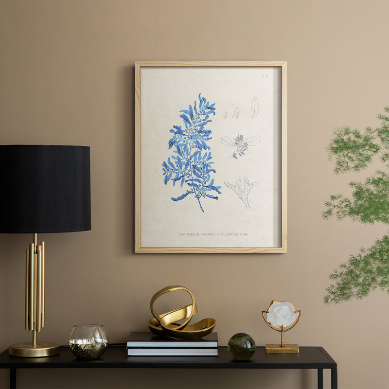 «Blue Marine Algae VI», reproduction encadrée - bois massif