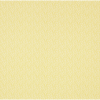 Tissu Schumacher x Veere Grenney