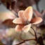 Couronne d'automne 26 po
