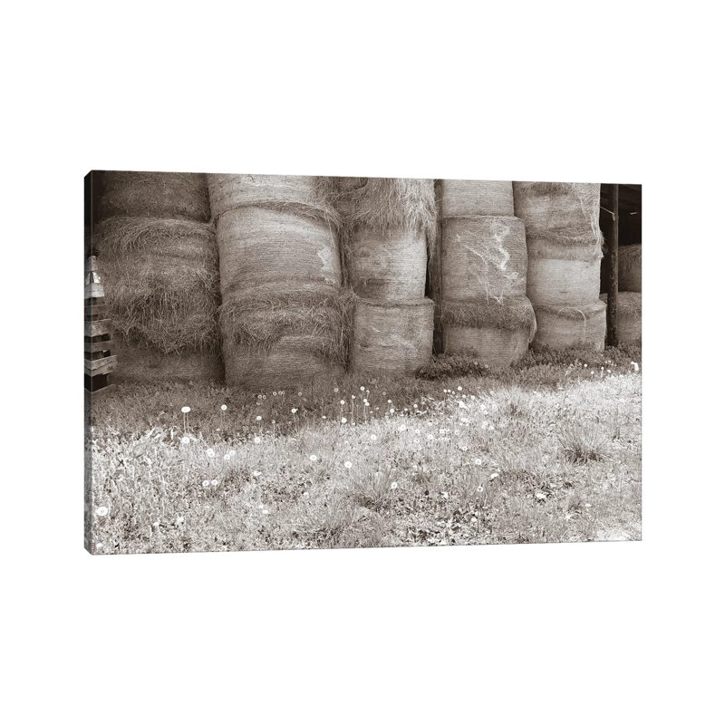 Sepia Farm Study V by Alicia Ludwig - Wrapped Canvas Print, 20.32cm H x 30.48cm W x 1.91cm D