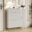 12 Pair Shoe Storage Cabinet