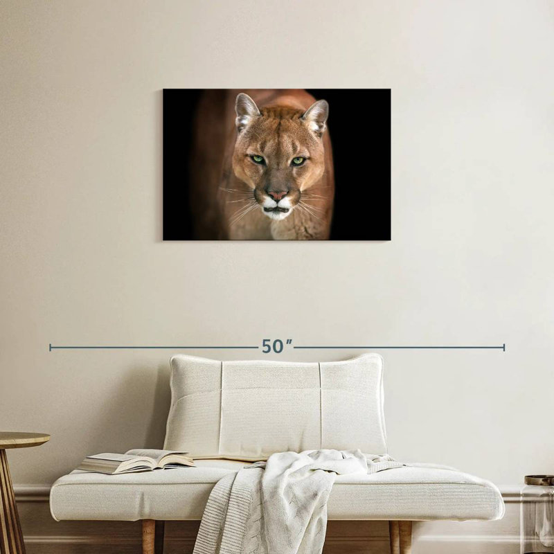Brampt Fierce Puma, 20" H x 30" W