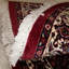 Katalynna Oriental Area Rug in Red