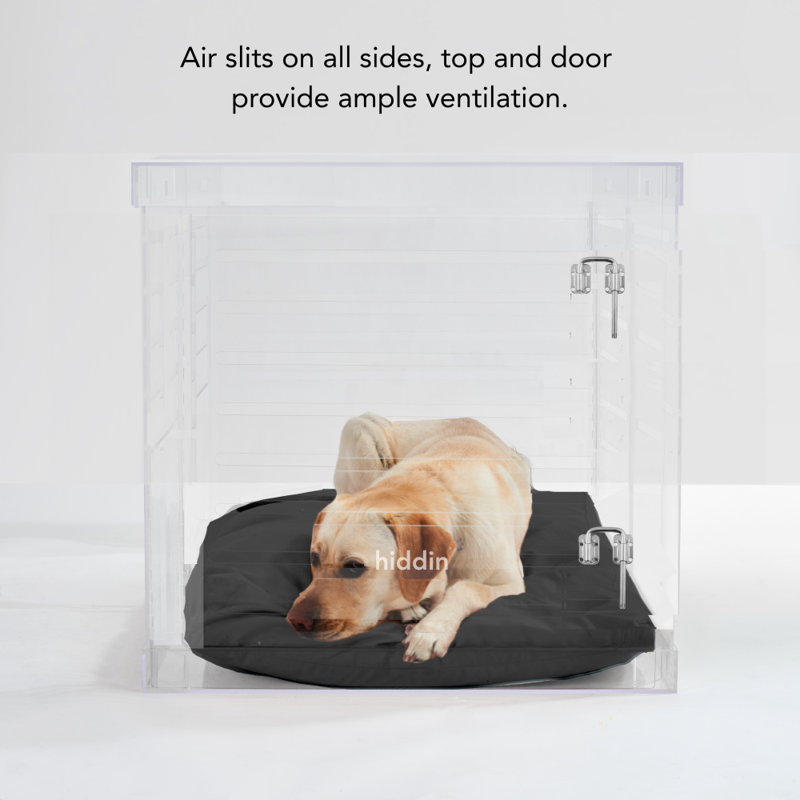 Large Clear View Pet Crate with Silver Latch, Charcoal