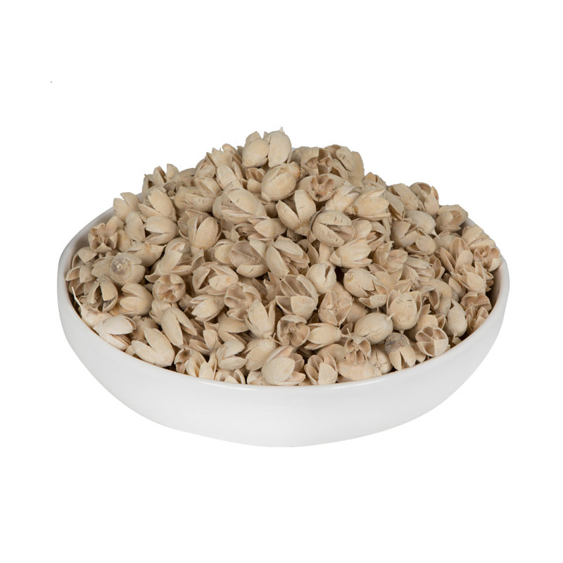 0.78'' Foliage Plant