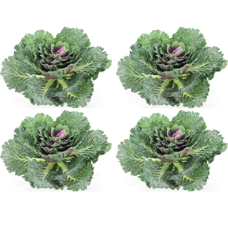 Plante à feuillage de chou artificiel, 4