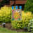 Brun / jaune / rose / vert