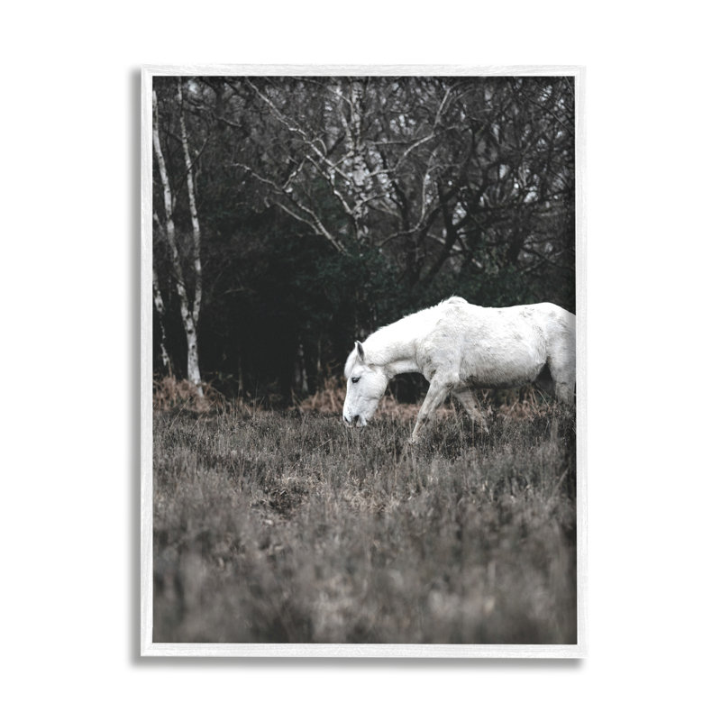 Photographie de cadre photo sur panneau de fibres à densité moyenne, H 30 po x l 24 po, Giclée encadrée blanc bord de mer