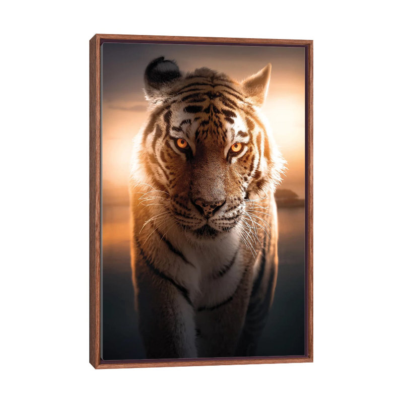 The Glowing Tiger by Zenja Gammer - Print on Canvas, Classic Brown Wood Framed, 66.04 cm H x 45.72 cm W