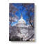 Capitol Hill And Cherry Blossom Tree - Wrapped Canvas-56642364