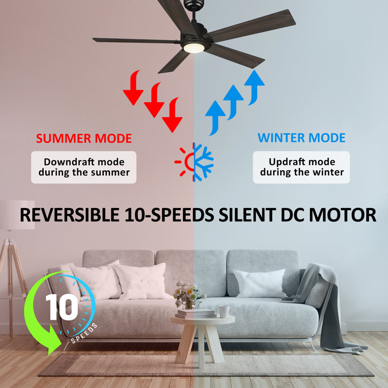 Smart Ceiling Fan With Remote, Light Kit, Works With Google Assistant And Amazon Alexa,Siri Shortcut., 56", Dark Walnut