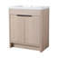 Meuble-lavabo autoportant avec lavabo et 2 portes d'armoire à fermeture en douceur