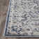 Aldolphus Oriental Indoor Rug
