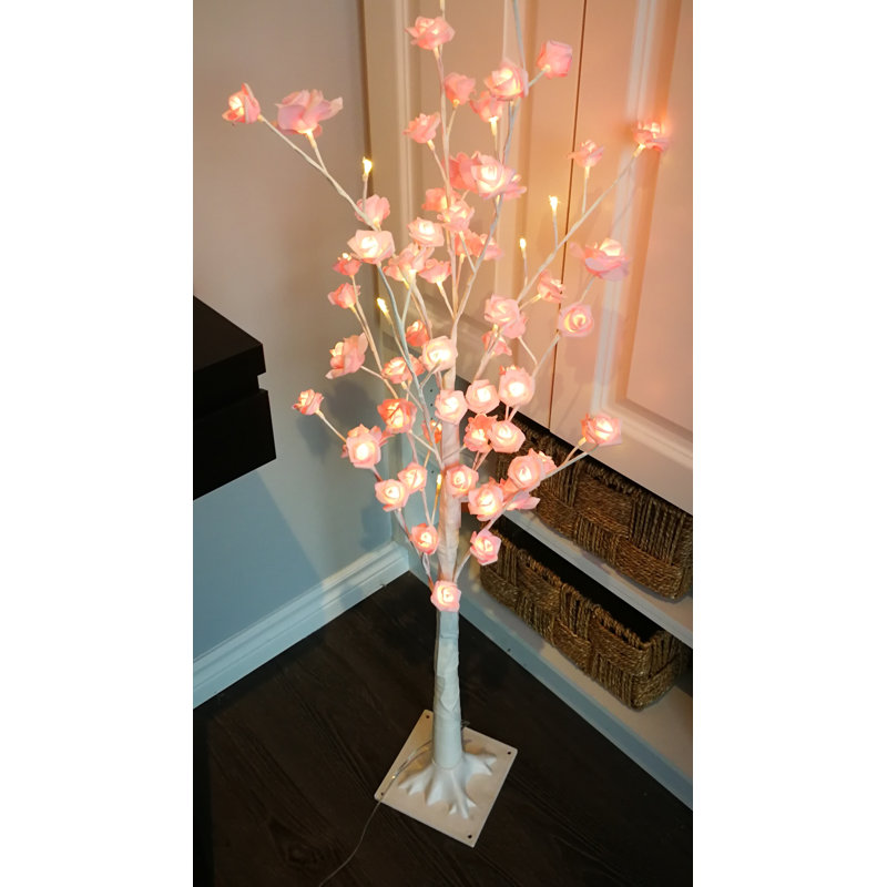 Plante florale à lumières del rose, Rose