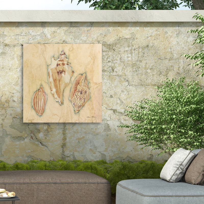 Toile d'extérieur Cheri Blum Shells I, H 35 po x l 35 po