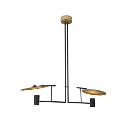 2 - Light Pendant