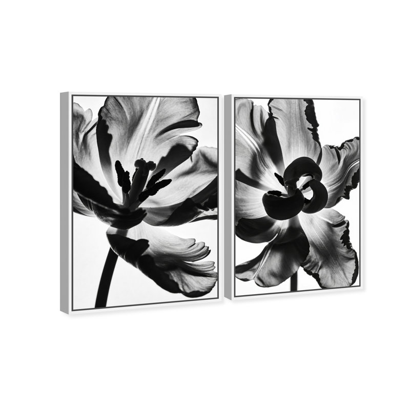 Close Up Set Floral & Botanical Canvas Print by Oliver Gal, Black Frame, 10 x 15, 46" H x 31" W, White Floater Frame