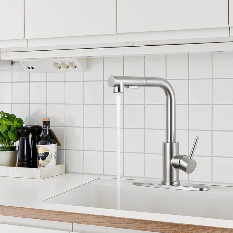 Robinet de cuisine en nickel brossé avec douchette extractible HGN