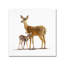 « cerf », art sur toile-31453800