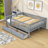 Rowanne Wooden Daybed Wood Bed with Two Drawers and Fence-1643981595-1643981594