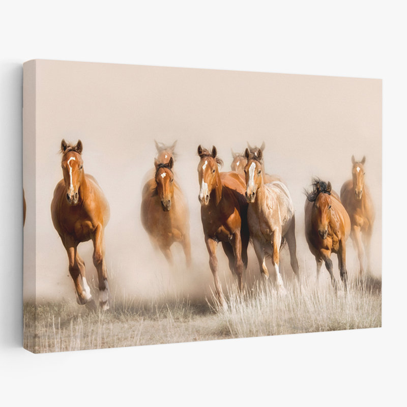 Hors-la-loi - Photographie, animaux, chevaux, art, H 16 po x l 24 po