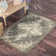 Tobitha Oriental Indoor Rug
