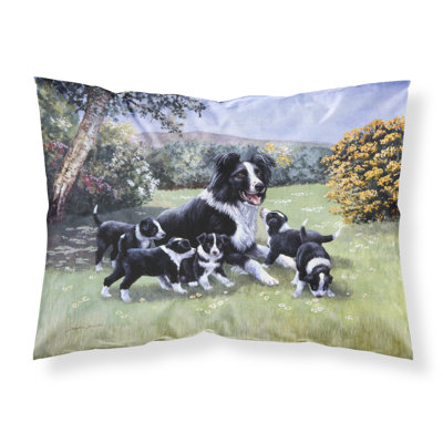 Border Collie Microfiber